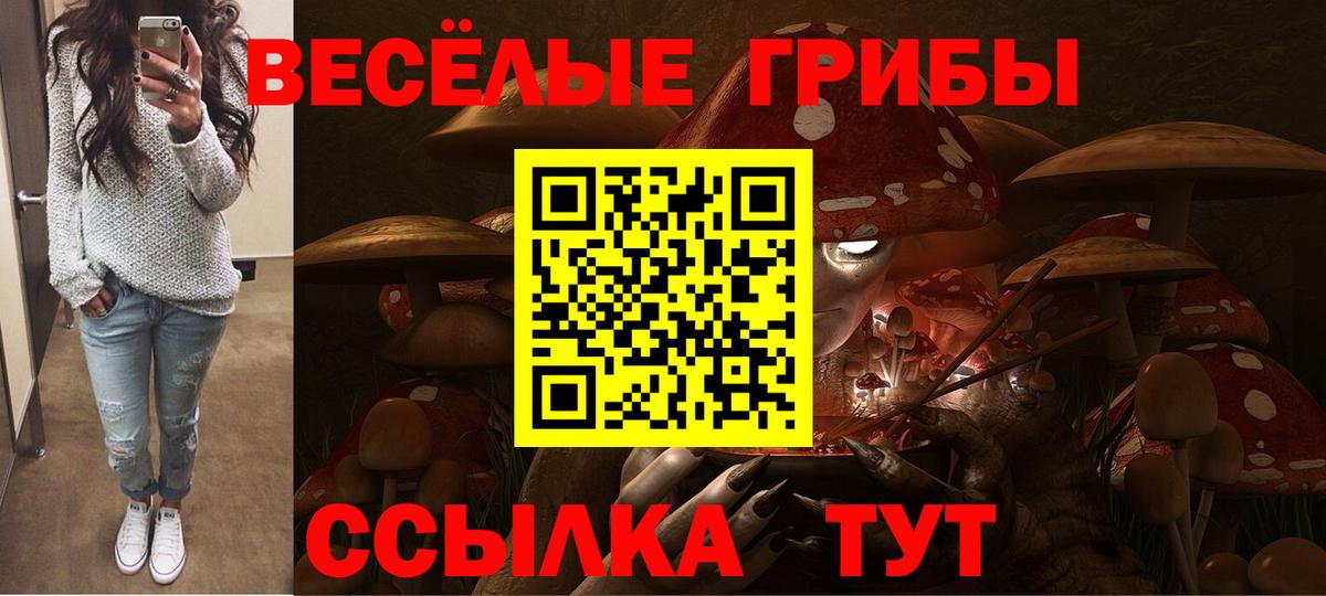 Галлюциногенные грибы MAGIC MUSHROOMS Егорьевск