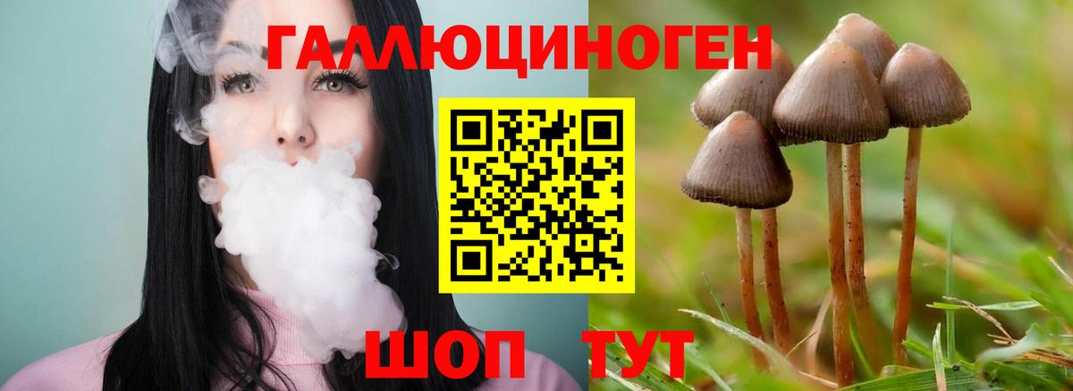 Галлюциногенные грибы Cubensis  Вход с VPN  Егорьевск 